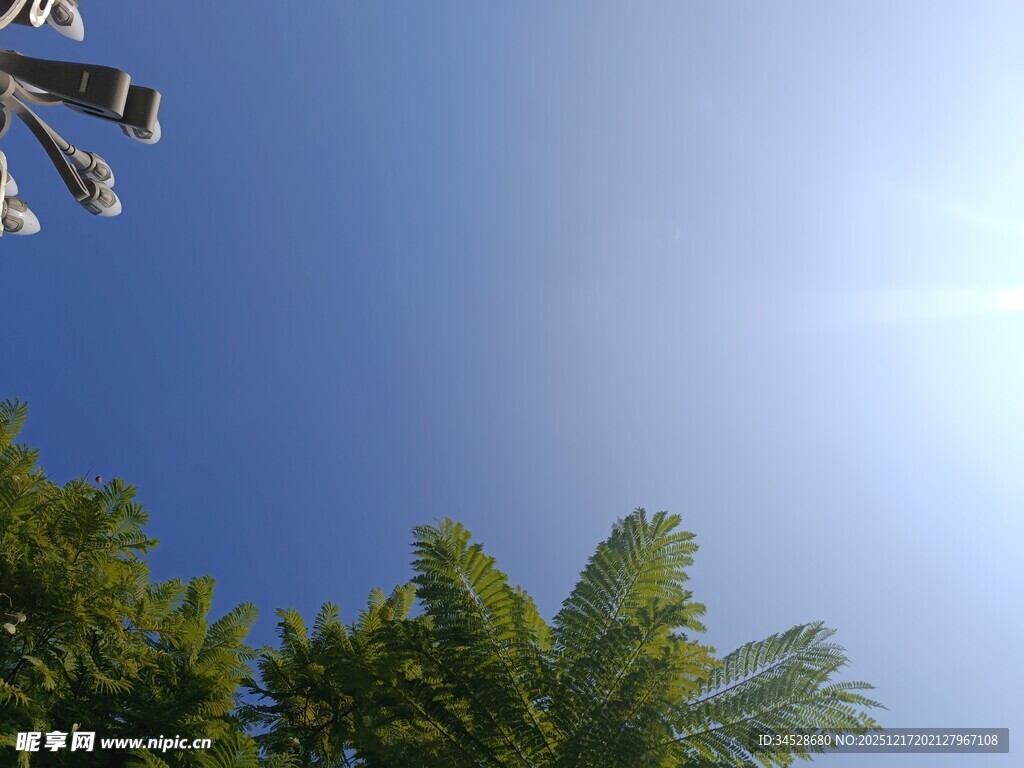 蓝天绿树间的监控设备