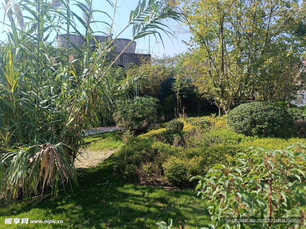 绿意盎然的户外花园景观