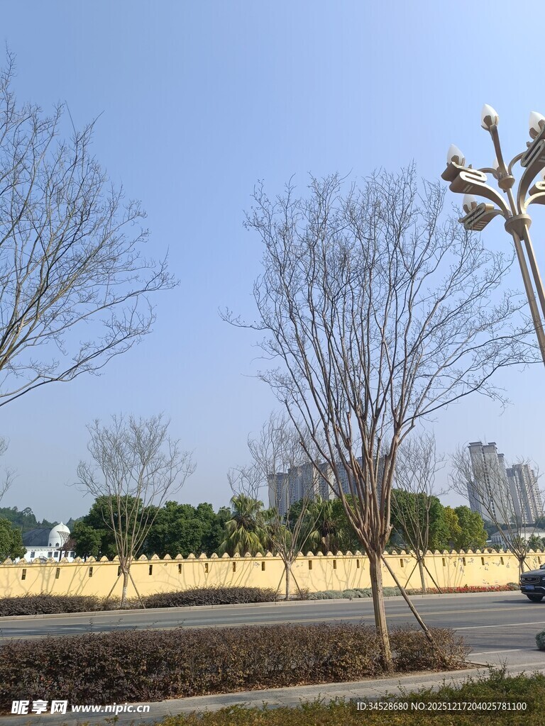 城市道路旁的冬日景象