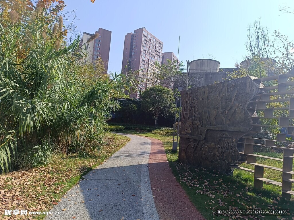 城市中的幽静小路