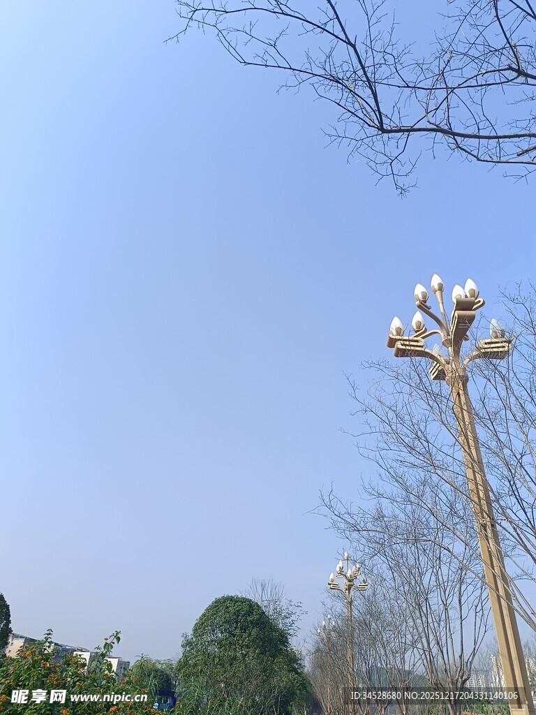 户外景观中的别致路灯