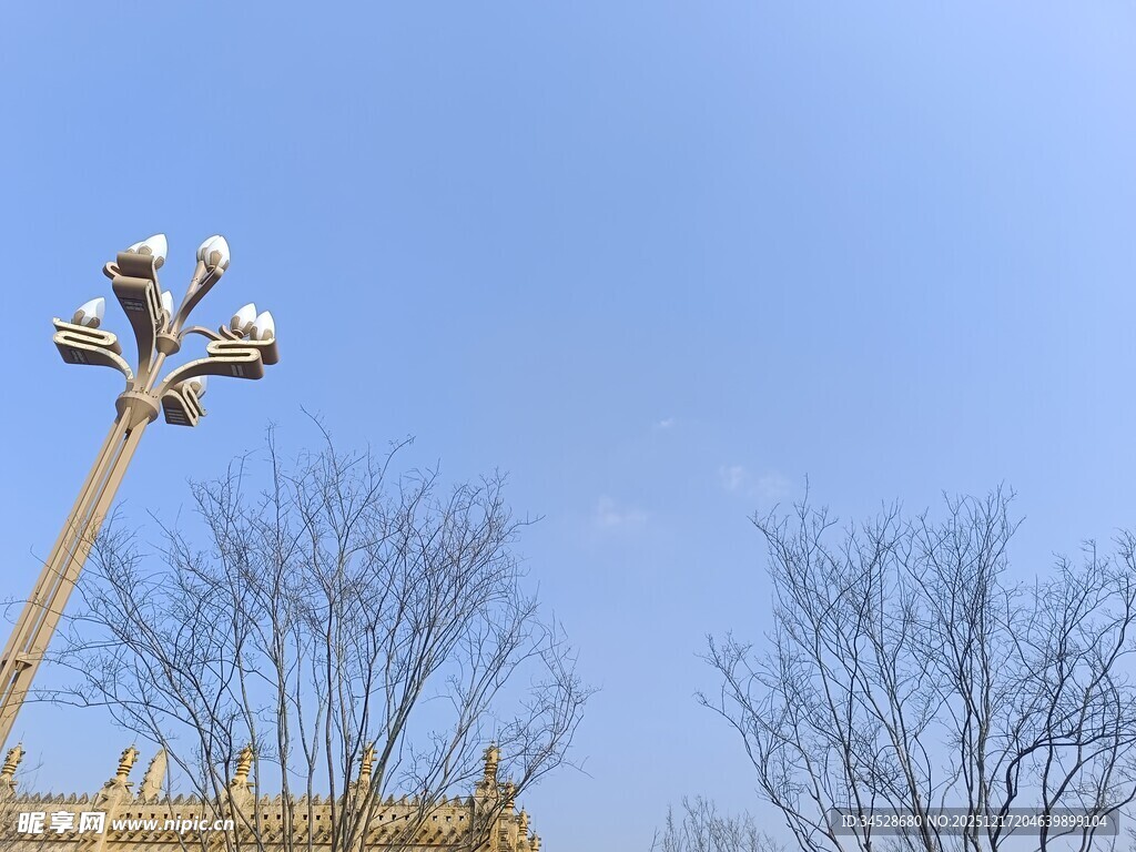 高杆路灯与光秃树木