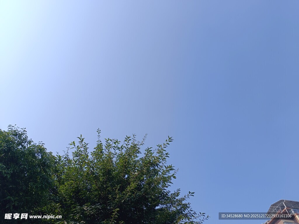 蓝天绿树旁的建筑一角