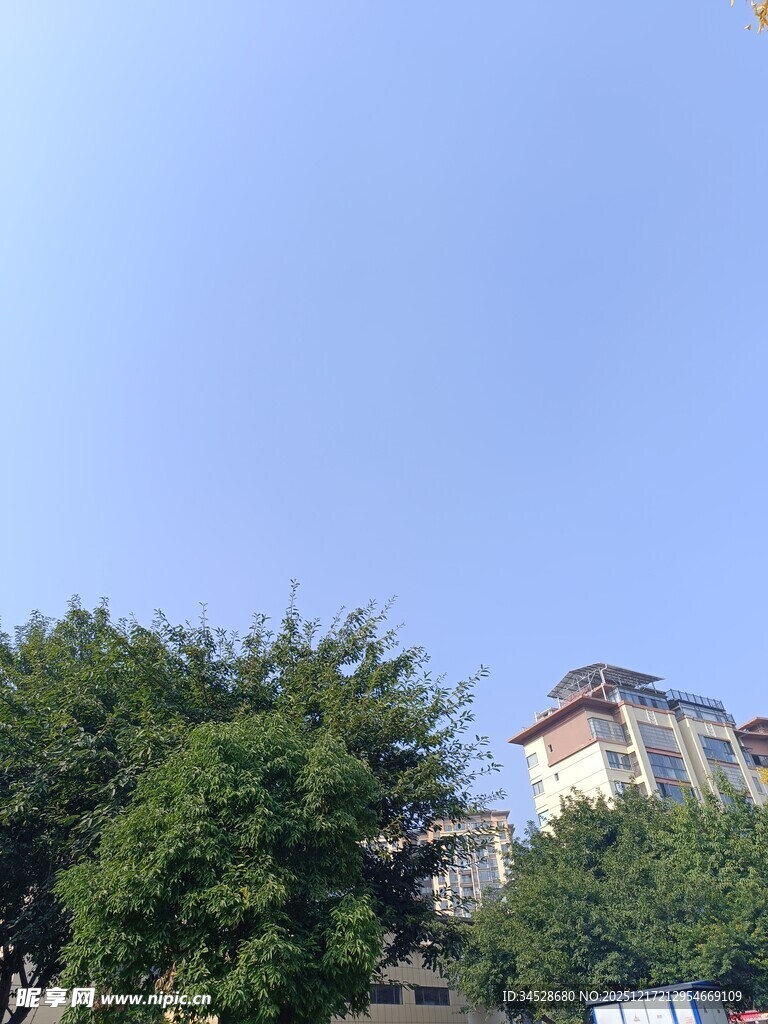 蓝天绿树旁的建筑物