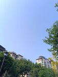 蓝天绿树旁的居民楼