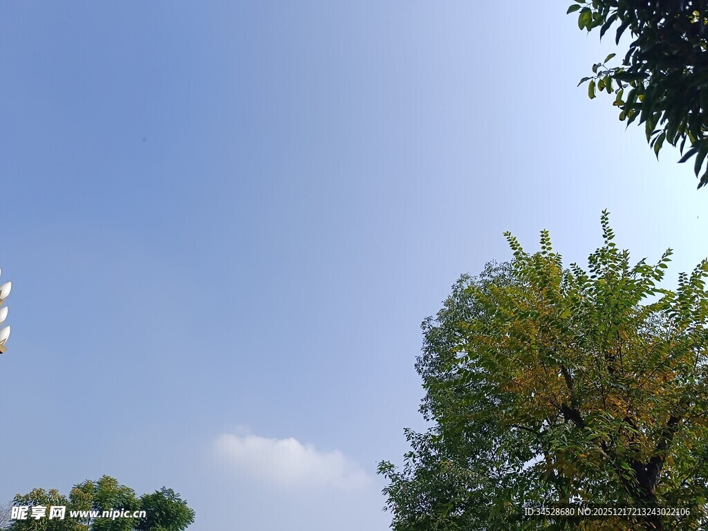 蓝天绿树风景图