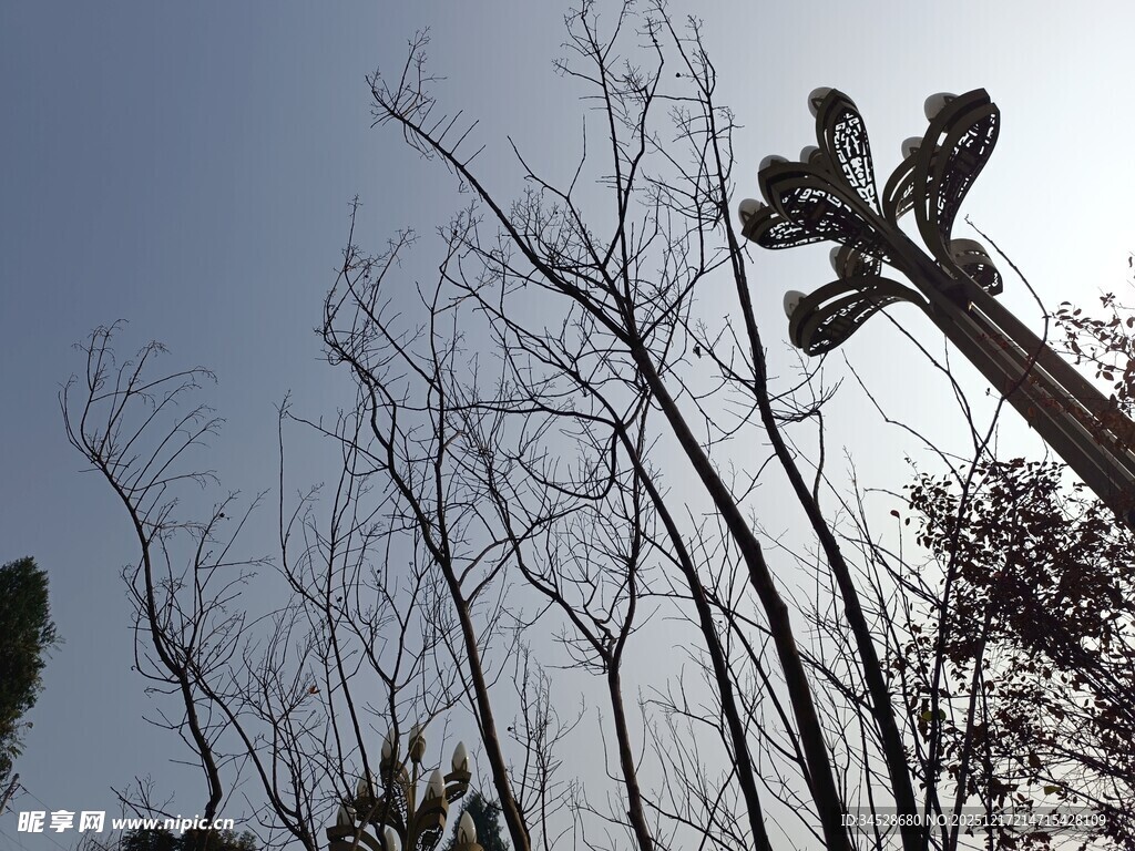 高空作业车修剪光秃树枝