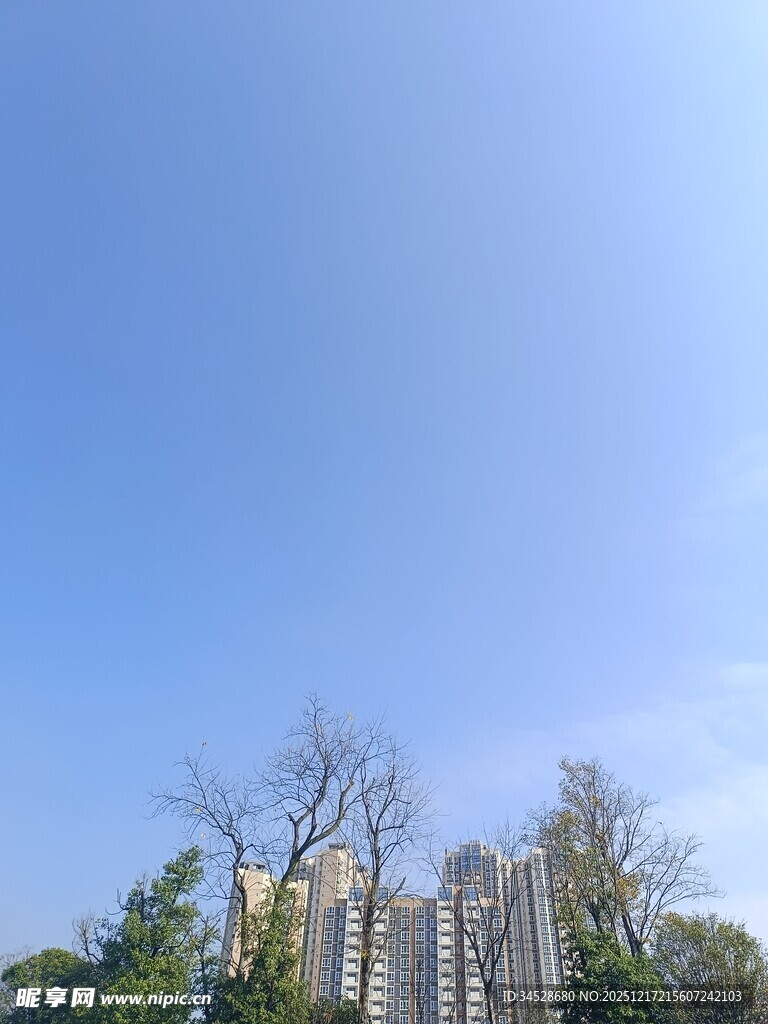 蓝天之下的高楼与树木