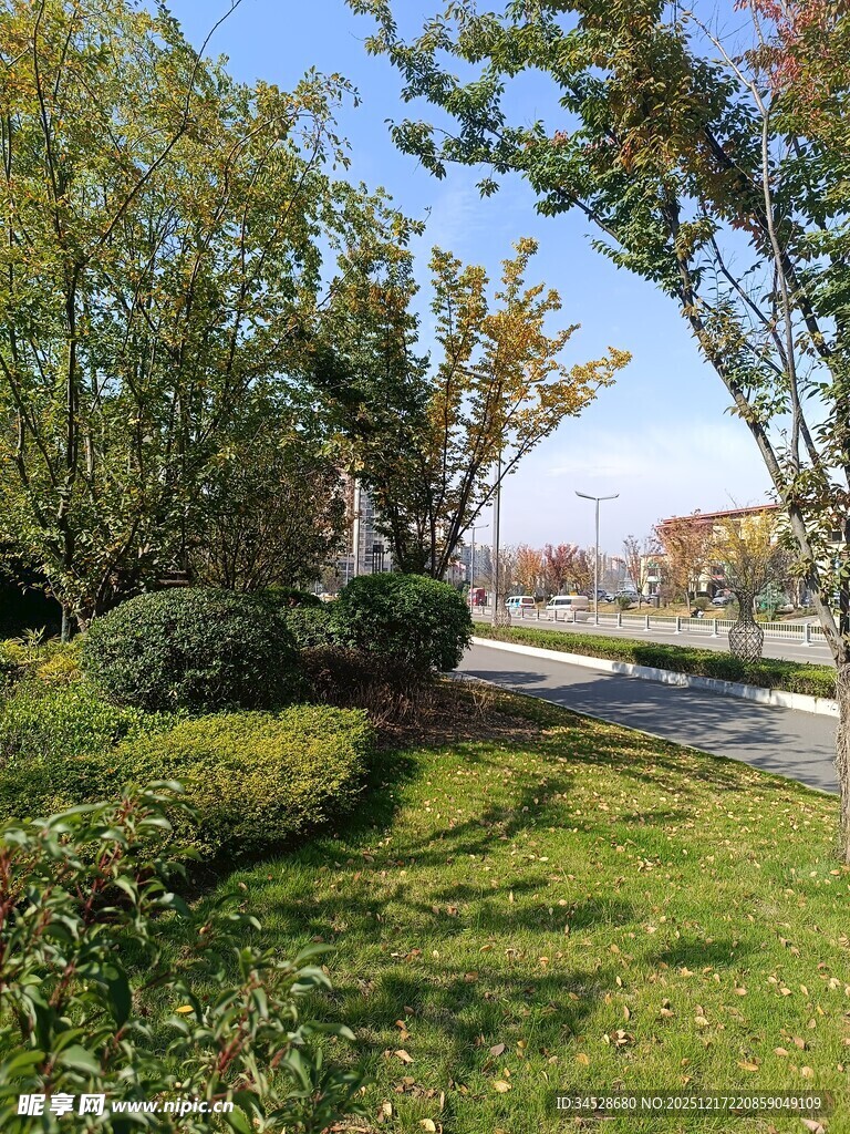 绿意盎然的户外园林景观