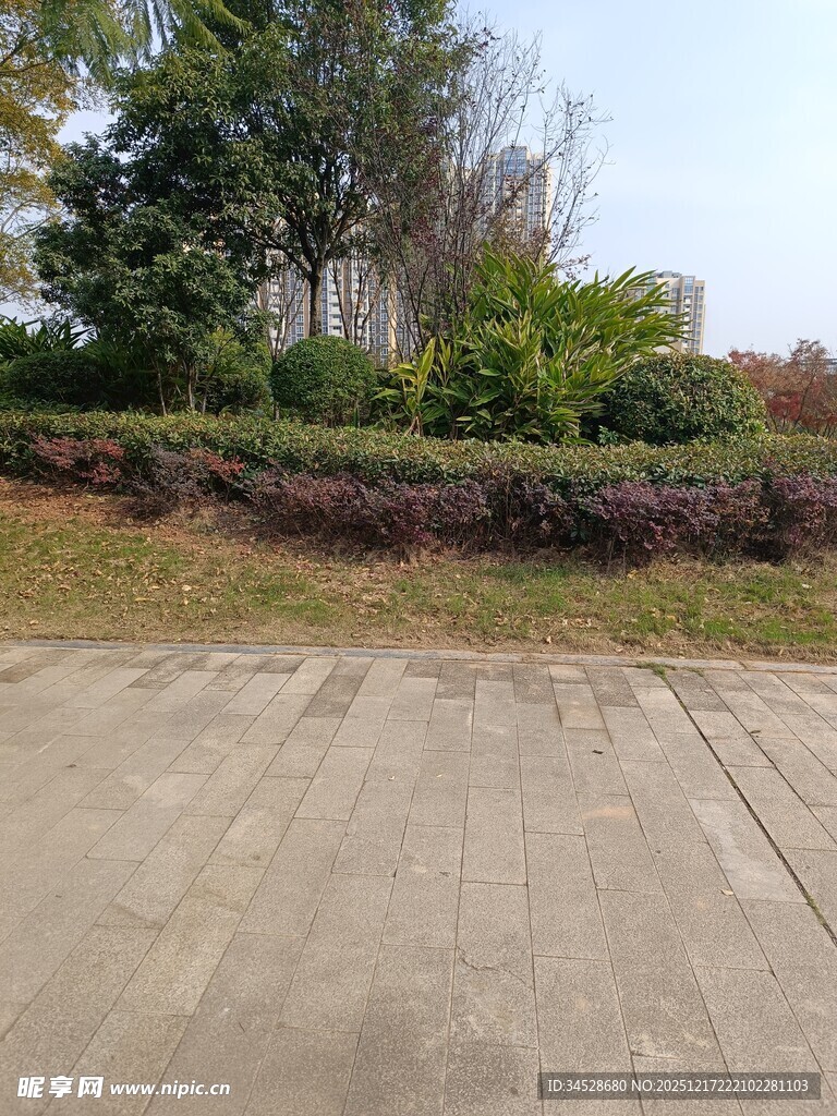 户外水泥地旁绿植景观