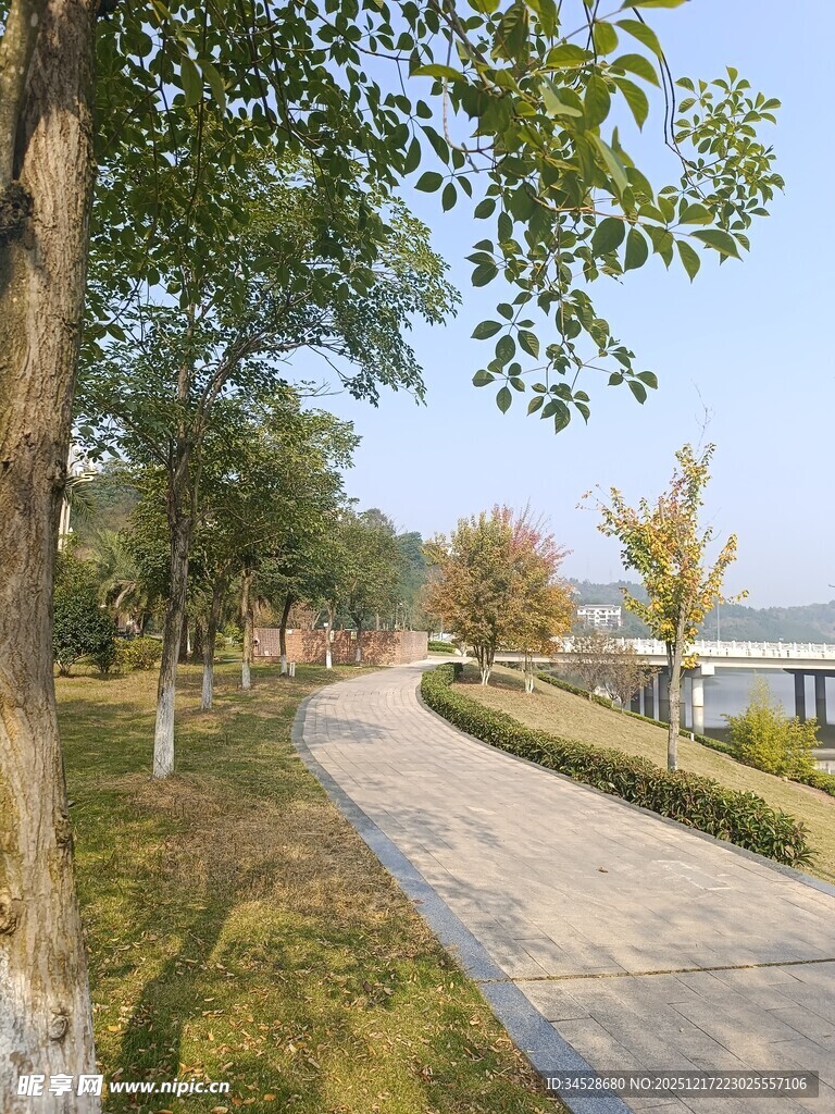 湖畔林荫步道风景