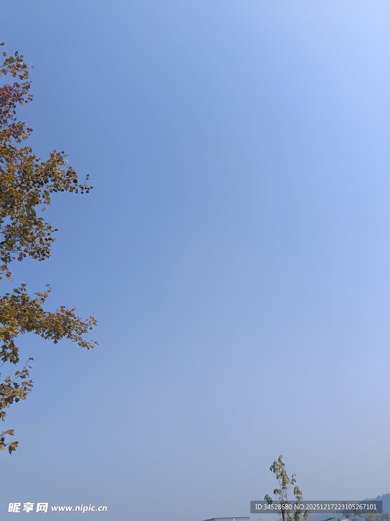 蓝天黄叶下的远山景色