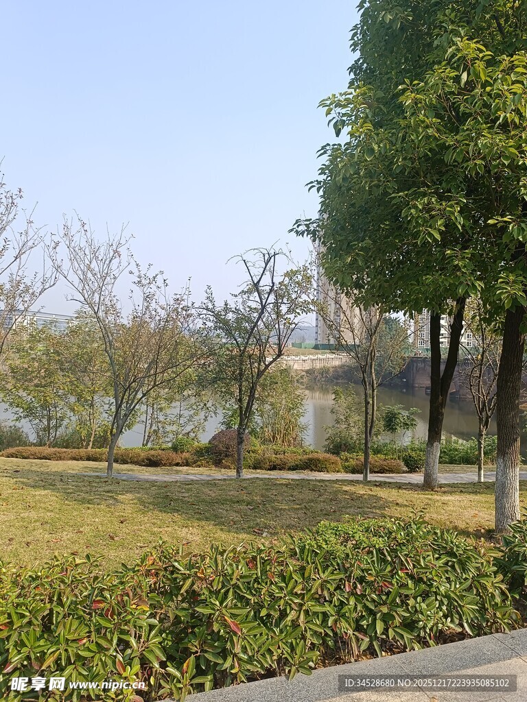 城市公园绿意盎然景致