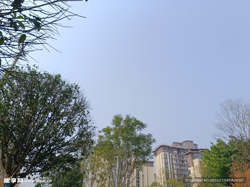 绿树环绕中的楼宇景观