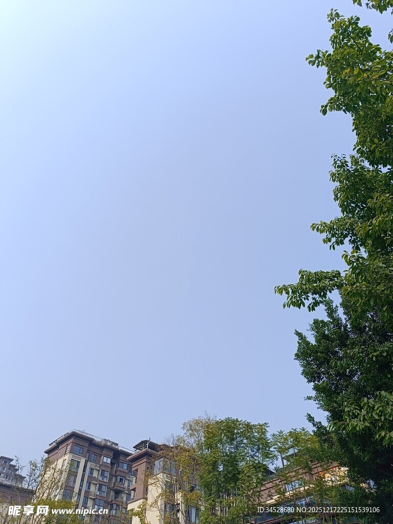 蓝天绿树旁的建筑景观