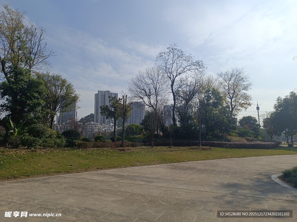 户外空旷场地与树木景观