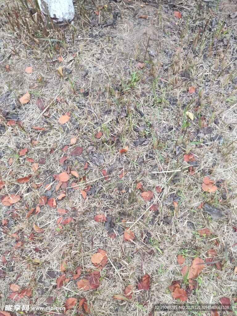 地面上的多彩碎石颗粒