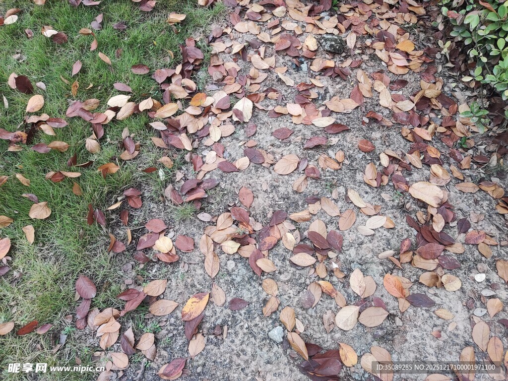 铺满落叶的碎石小径