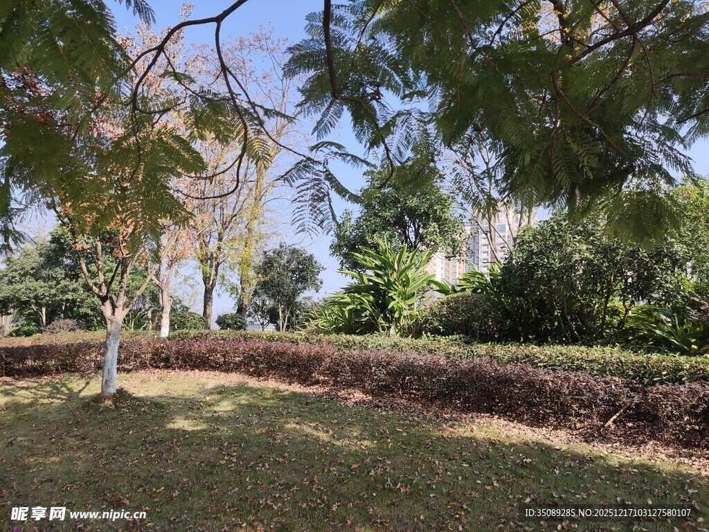 户外绿荫环绕的宁静场景