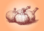 手绘大蒜图案