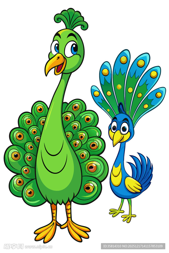 两只可爱的孔雀