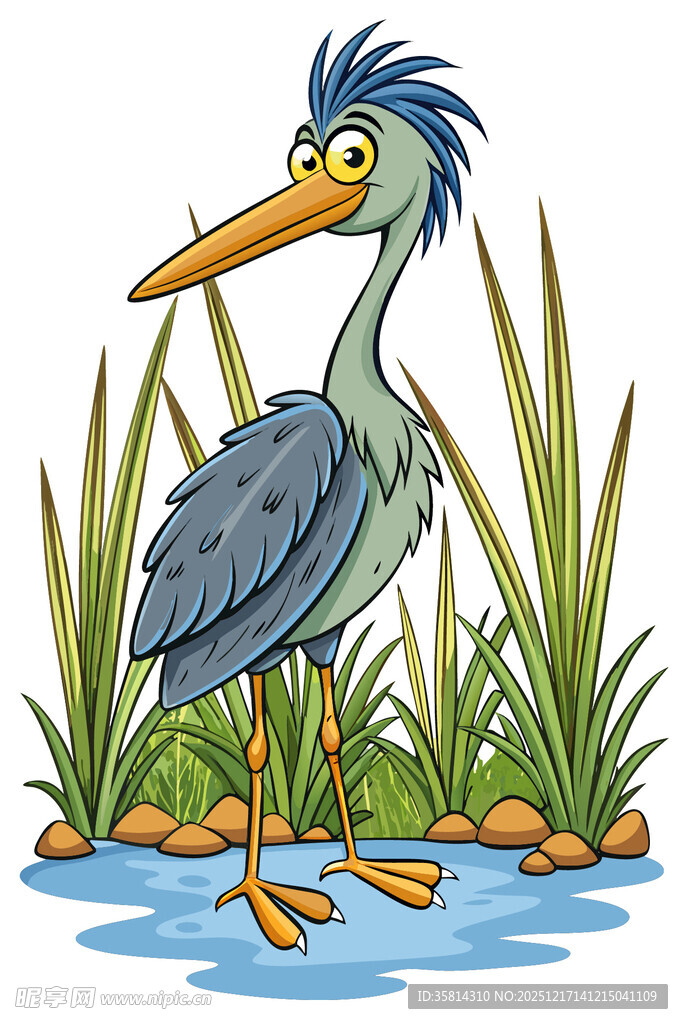 水边蓝羽鹭鸟插画