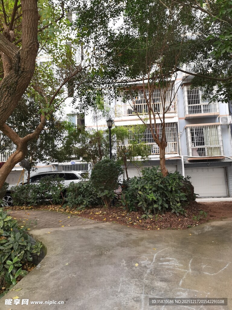 小区内的宁静住宅景观