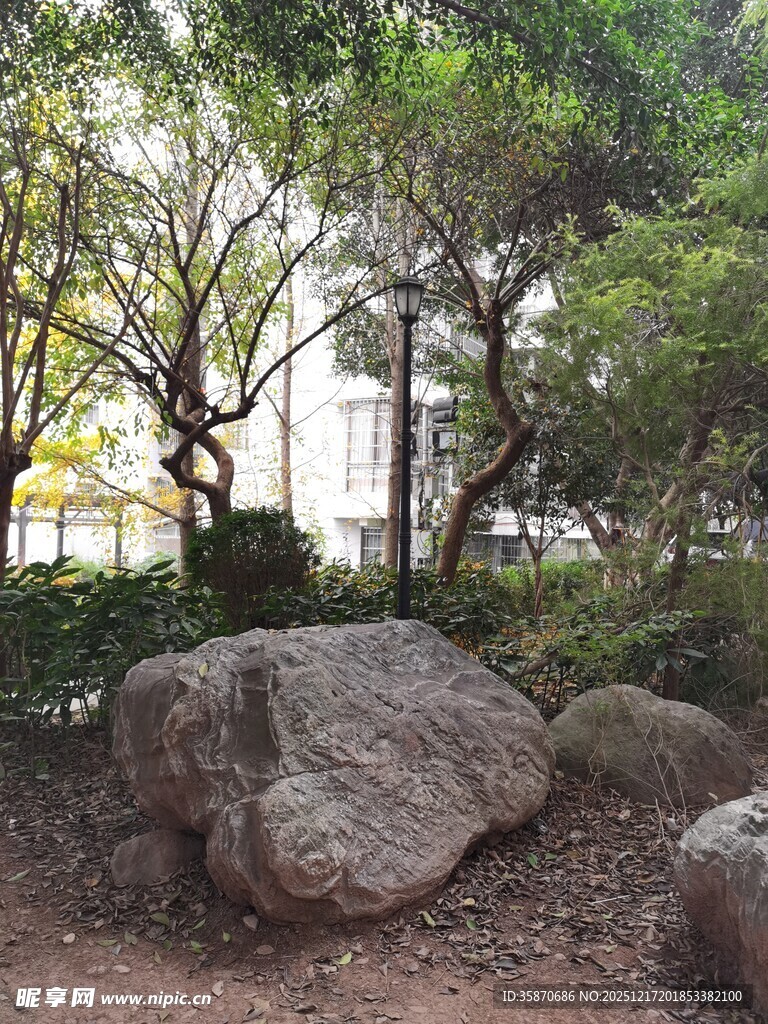 园林中的巨石与繁茂树木