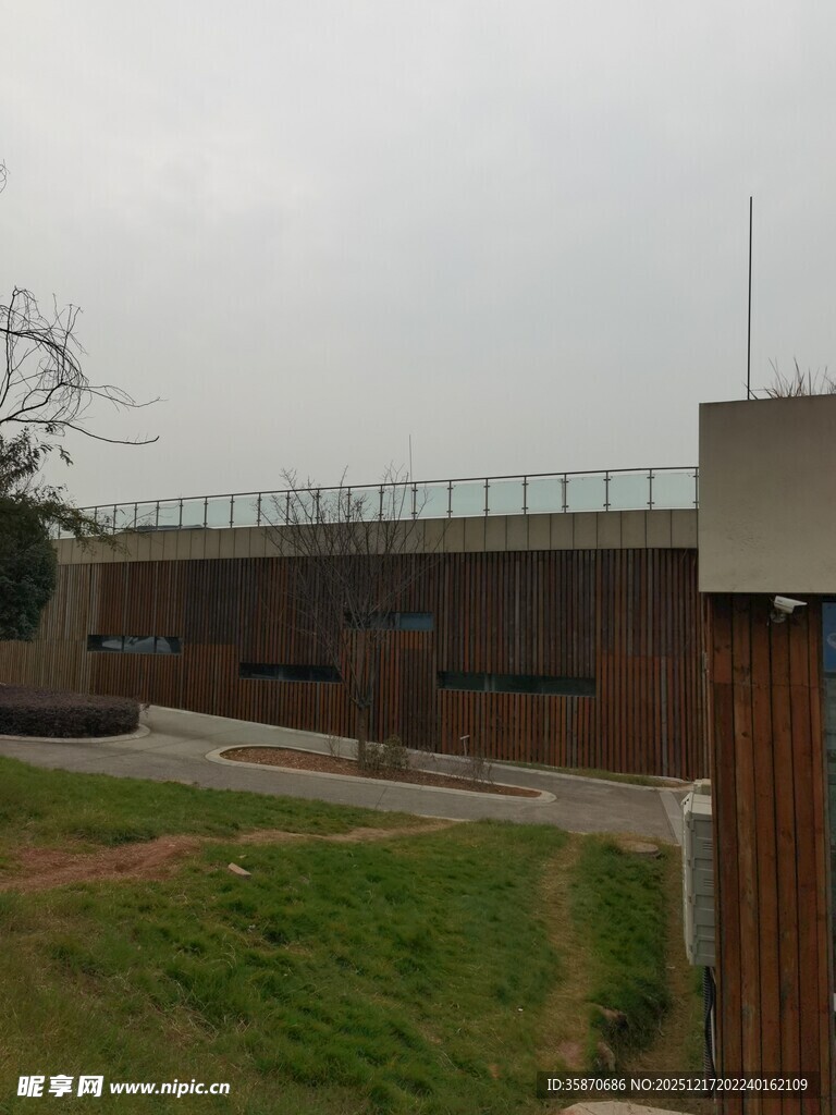 户外围墙旁的草地场景