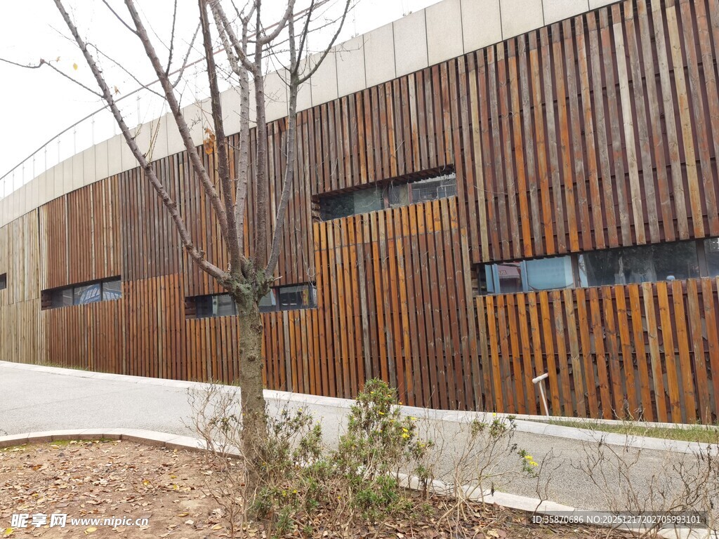 木质外墙建筑旁绿植景观