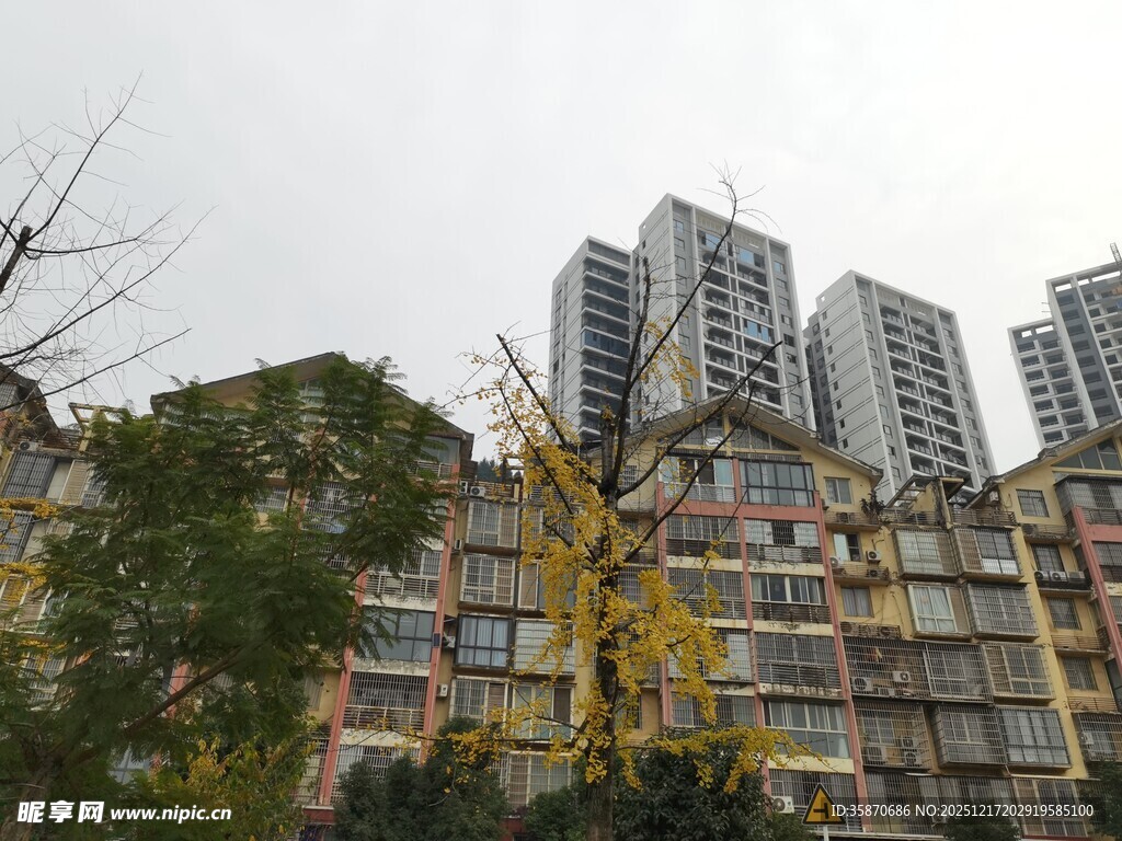 城市中林立的多彩居民楼