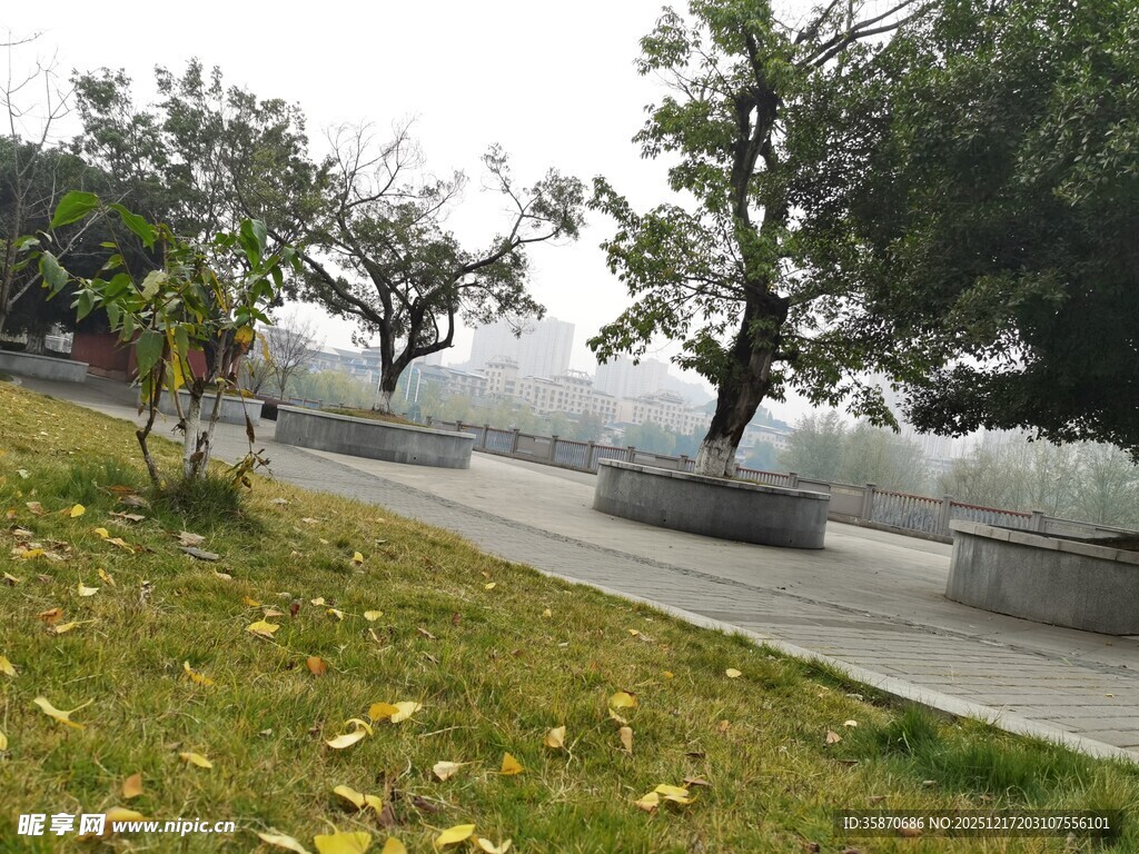 雾中公园小径景色