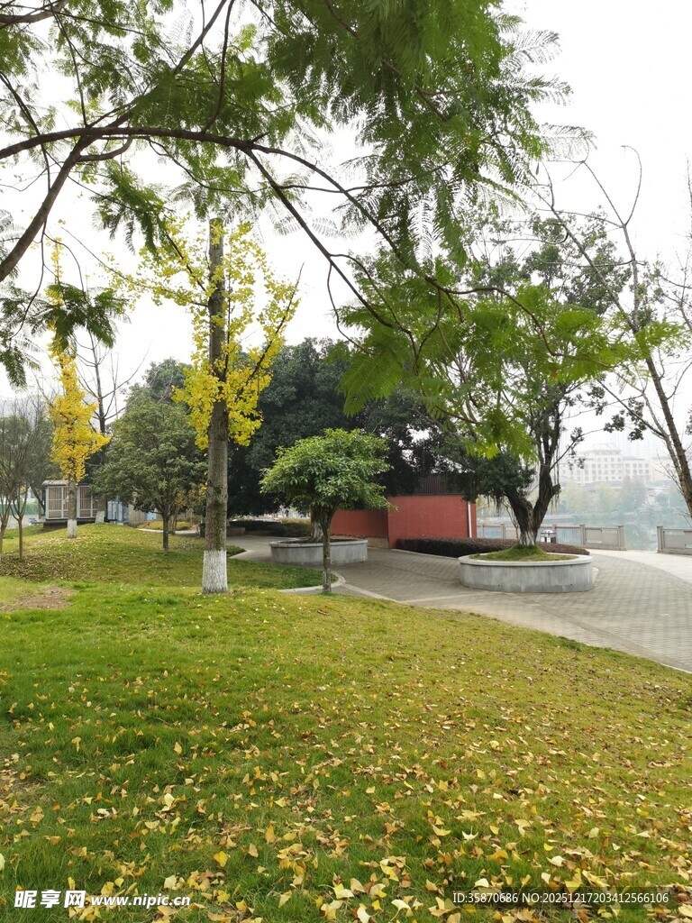 秋日湖畔公园美景