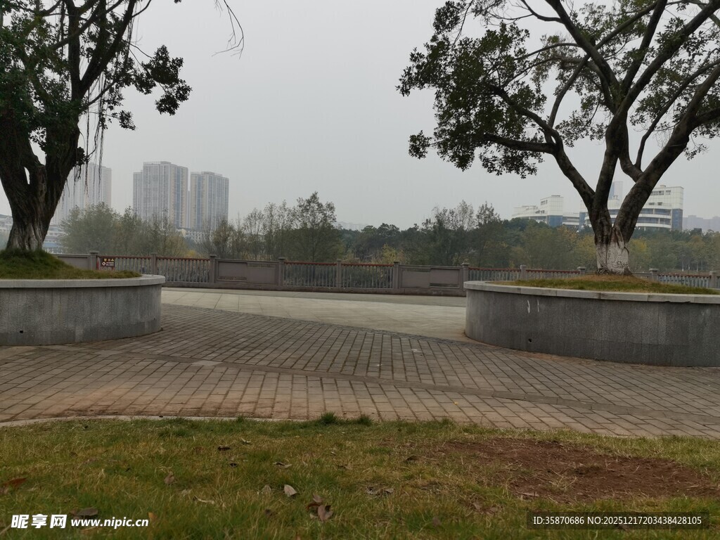 城市公园中的开阔休闲场地