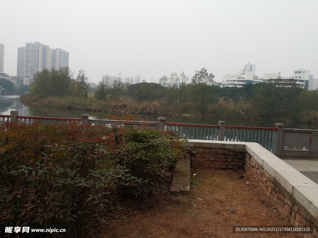 城市边缘的绿植景观