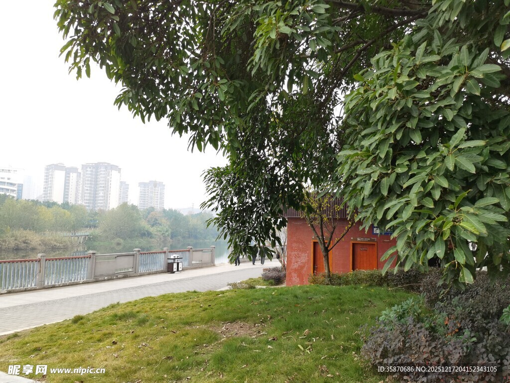 城市河畔绿树旁的静谧景致