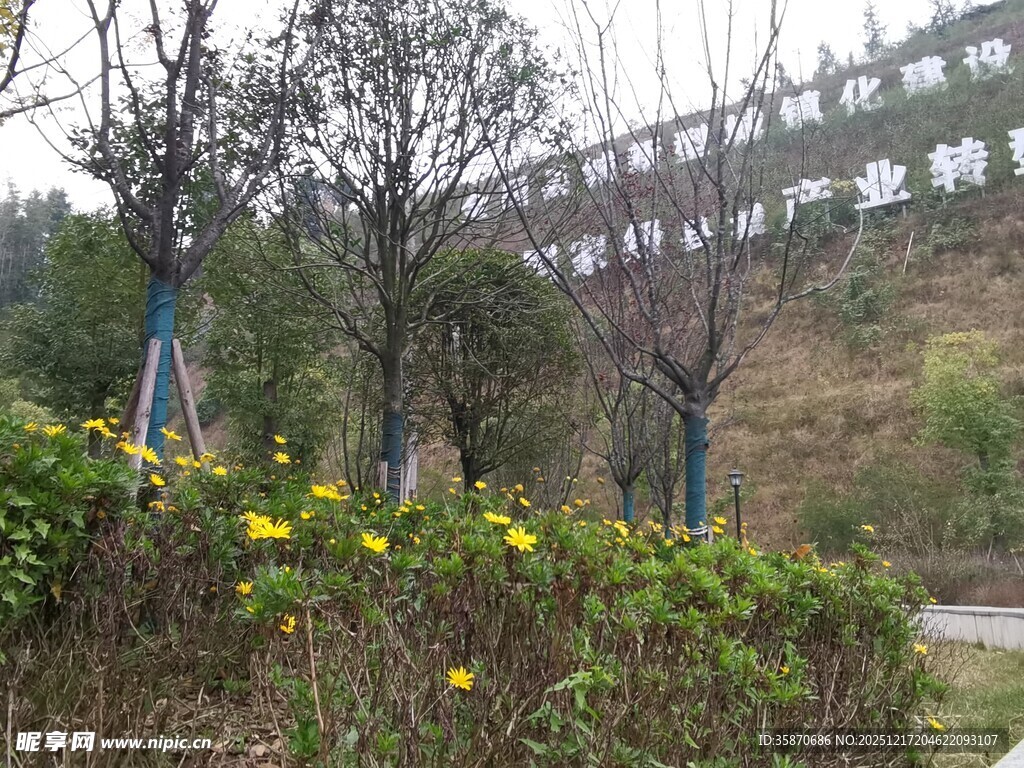 户外绿植旁的多彩景致