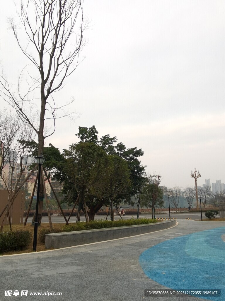 城市公园中的蓝色步道景观