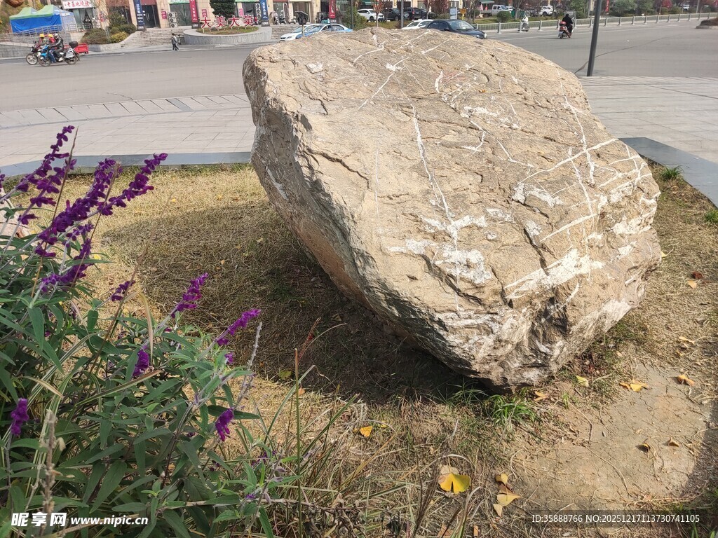 户外巨石旁的多彩花卉