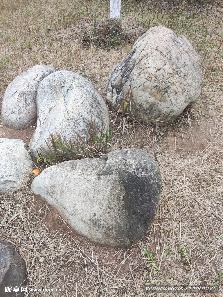 野外散落的形态各异石头