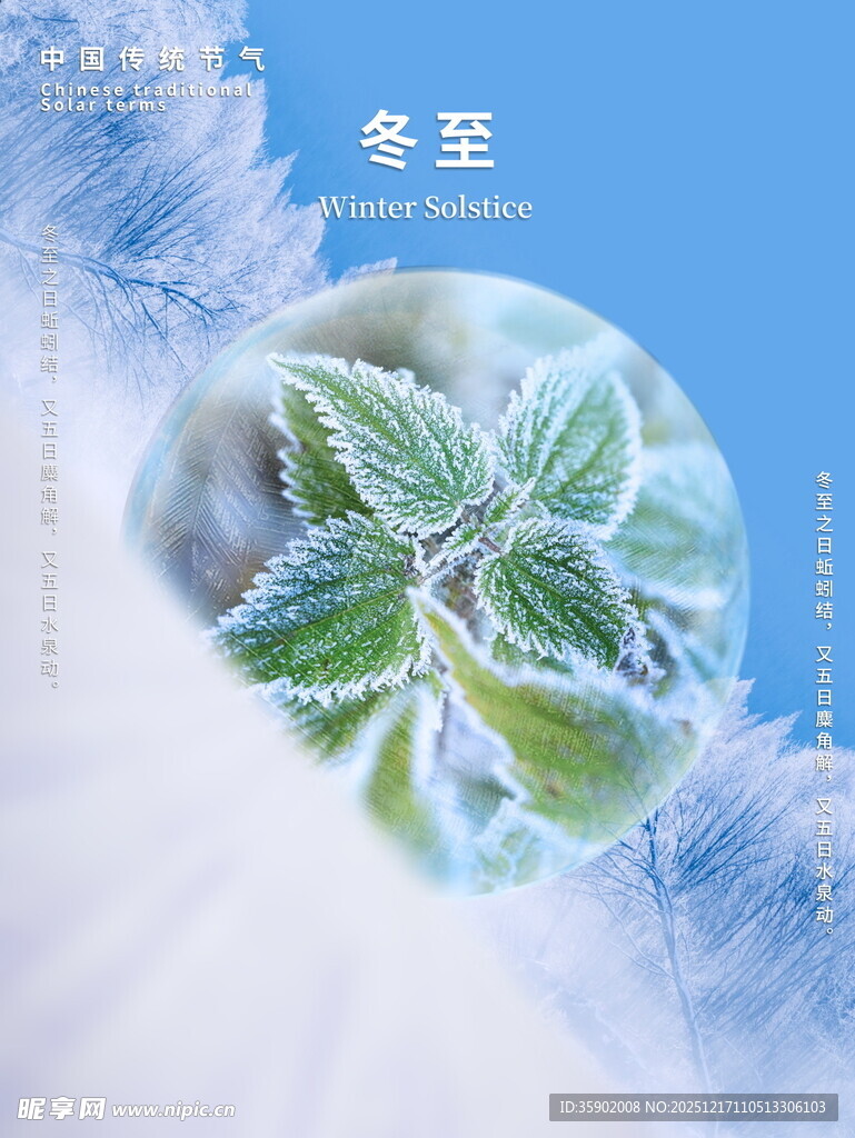 冬日冰晶中的清新绿叶