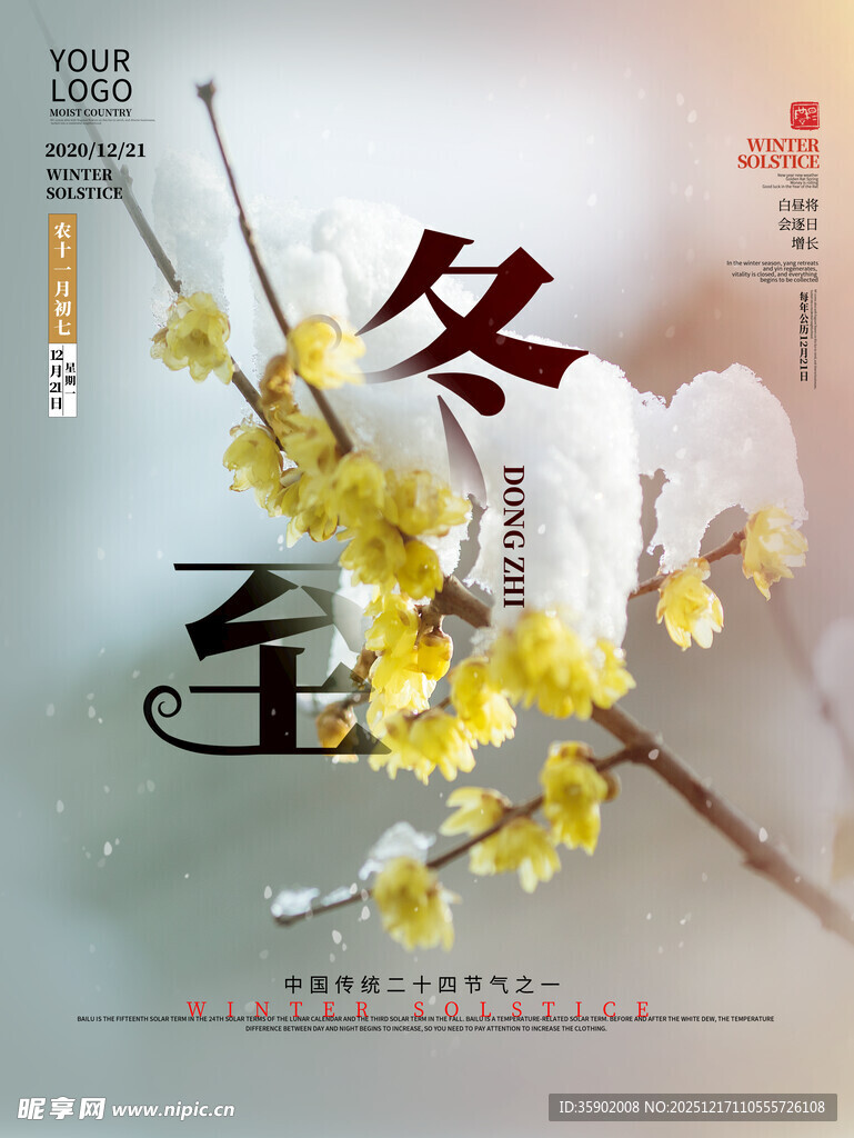 冬至时节绽放的腊梅花