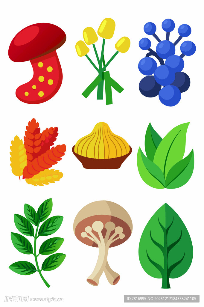 多彩植物与菌类图标集合