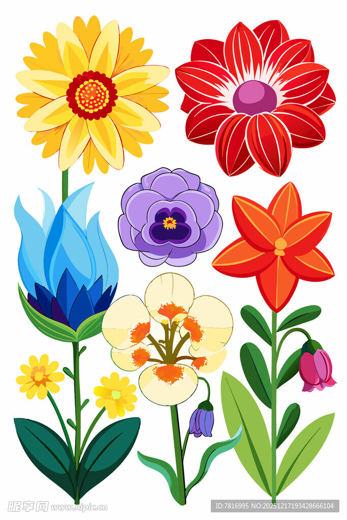 多彩花卉插画