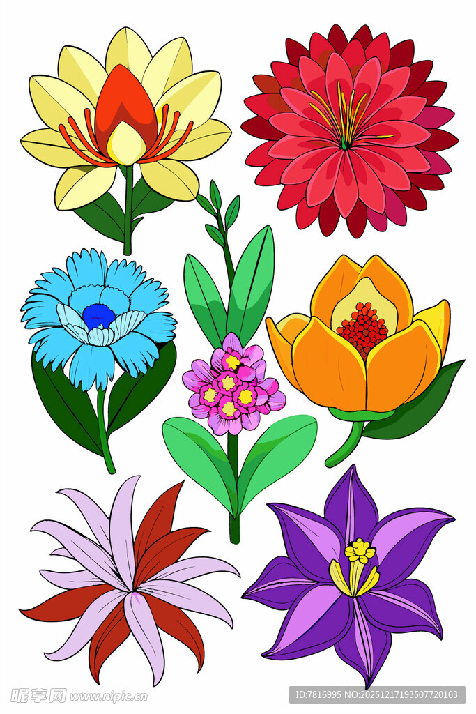 多彩花卉插画