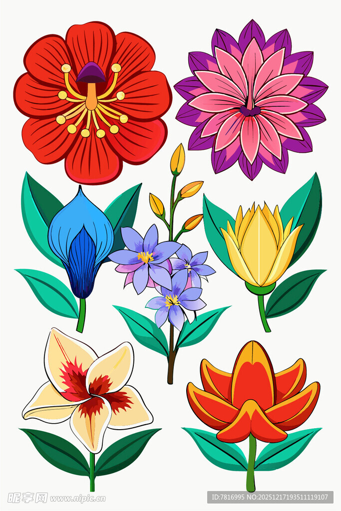 多彩花卉插画集合