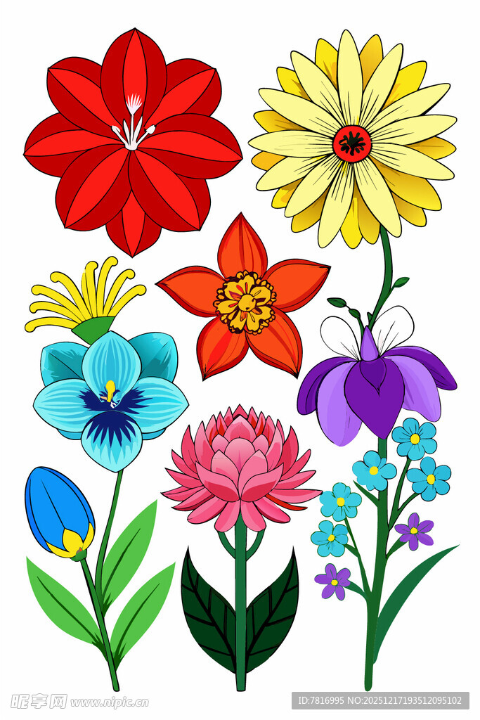 多彩花卉插画