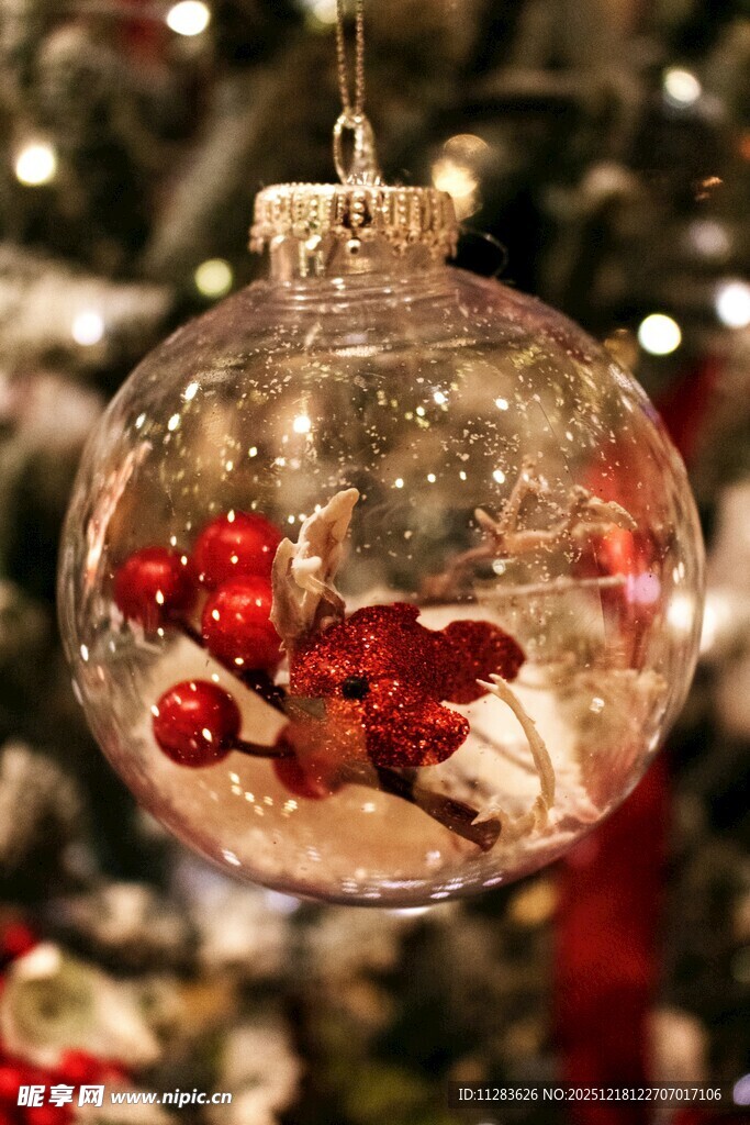 透明圣诞球挂饰饰以浆果