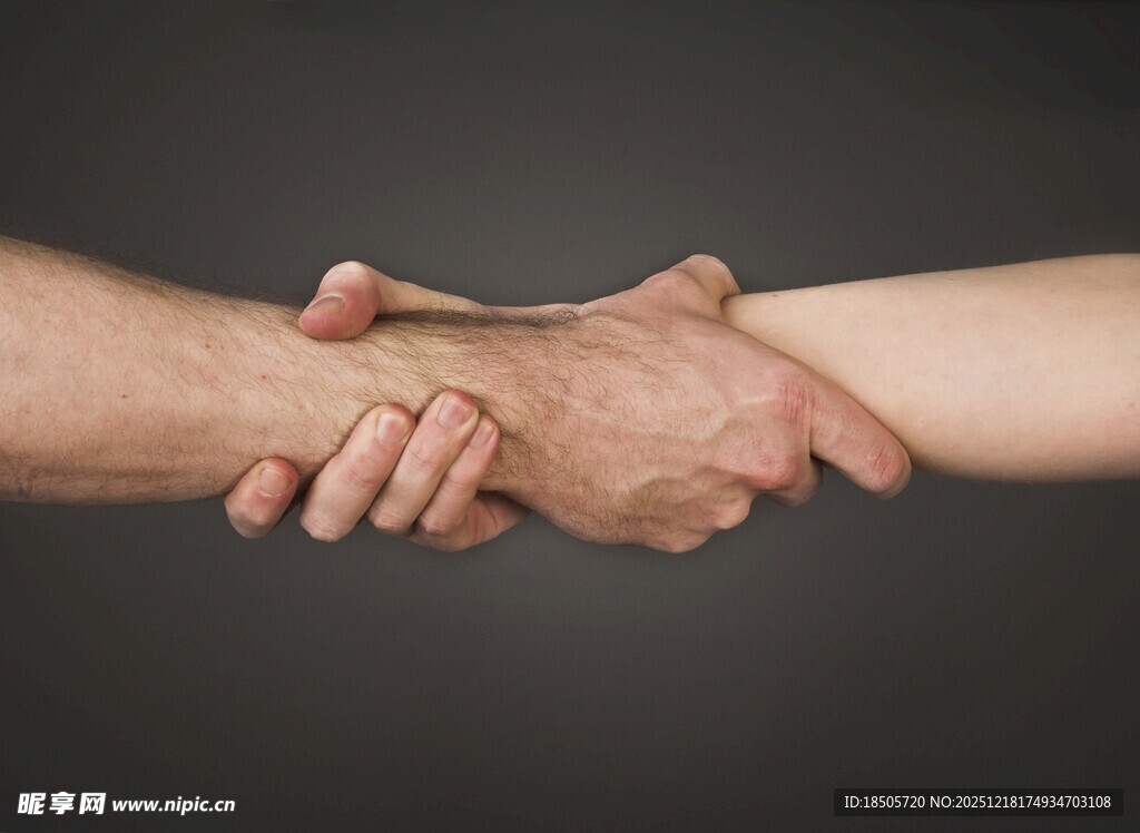 两人握手展现合作瞬间