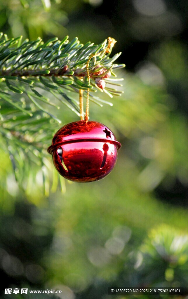 圣诞树上的红色铃铛